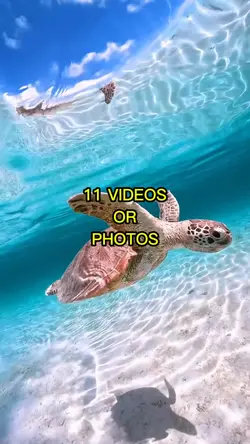 Summer 2025