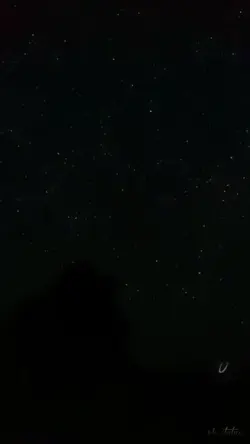 bhojpuri song 