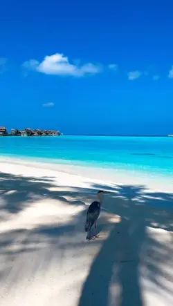 beautiful beach 