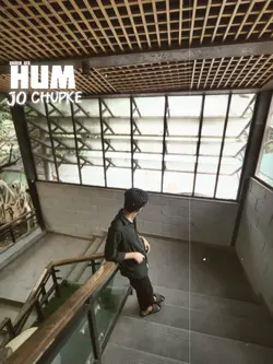 Hum Jo Chupke