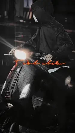 Trình chiếu 