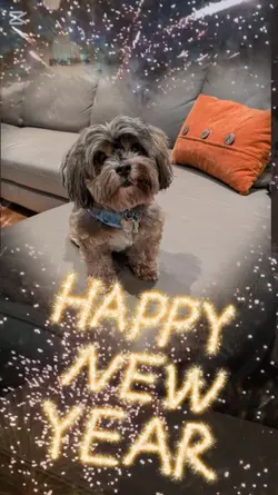 NewYear 2.0 2photo 