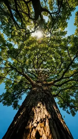nature therapy