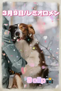 ３月９日/レミオロメン
