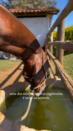 Marca registrada 