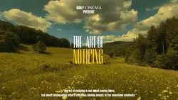 THE ART OF NOTICING 