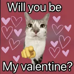 Be my valentine?❤️