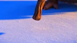 Funny animation 3D 