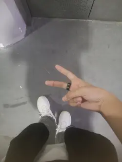 Ubur-ubur ikan lele 