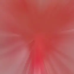 쩝