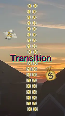 💸