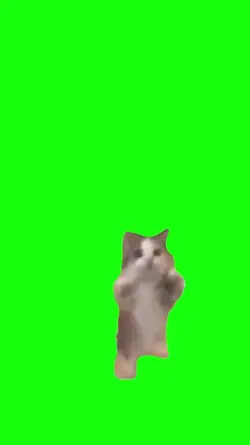 mentahan meme #2