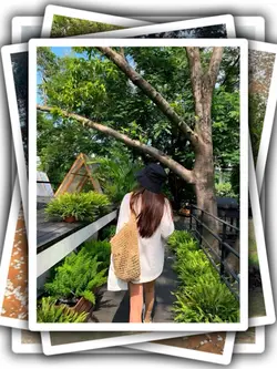 4Pic Clip Aesthetic