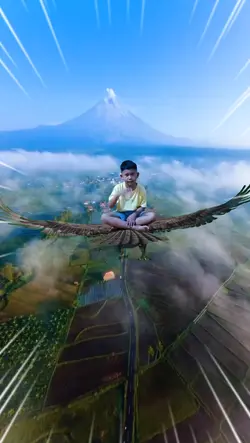 Eagle Fly 