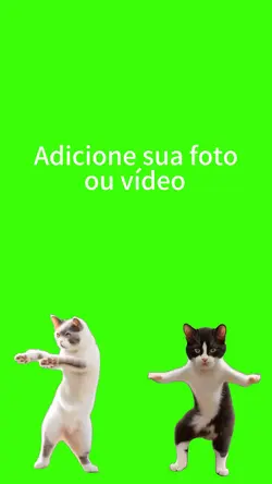Gatos.
