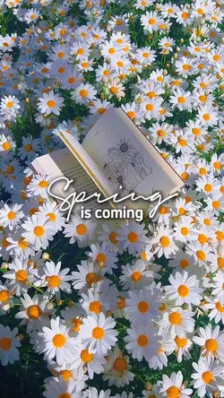 spring is coming