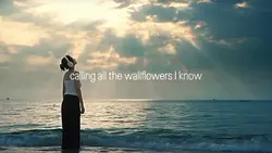 the wallflowers