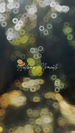 Autumn Moments 