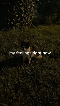 my feelings right nw