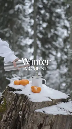 Winter Moment