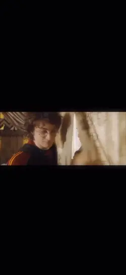 Harry and Hermione 