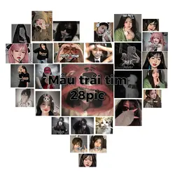 Mẫu 28pic