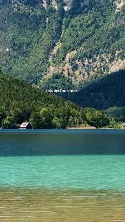 this and no stress