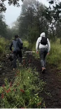 Hiking mini vlog