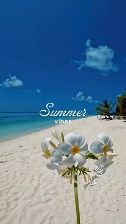 Summer vibes