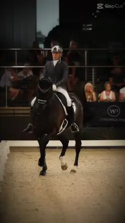 We are equestrians