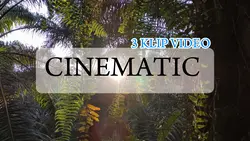 3 KLIP VIDEO 
