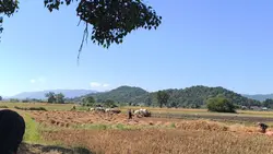 ရပါတယ်ရတယ်
