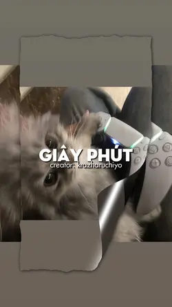 GIAYPHUT
