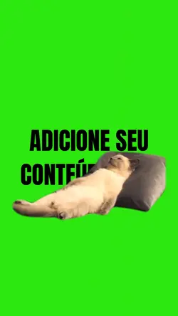 Gatinho fundo verde