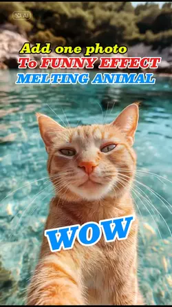 melting Animal ai