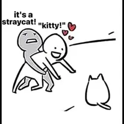 A kitty!