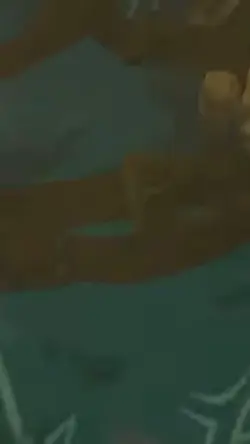 Zelda & Link