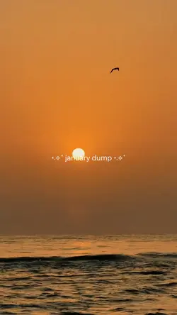januarydump