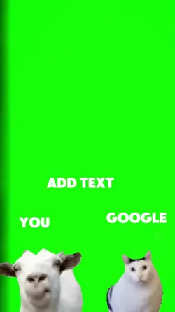 ask google hhh
