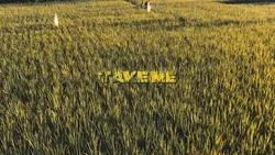 take me to