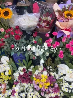 MARCH DUMP