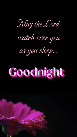 Goodnight Message