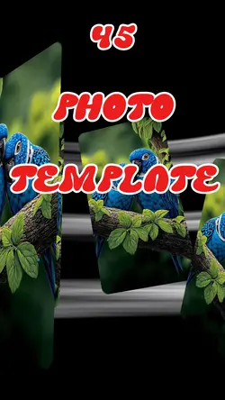 45 Photo Template 