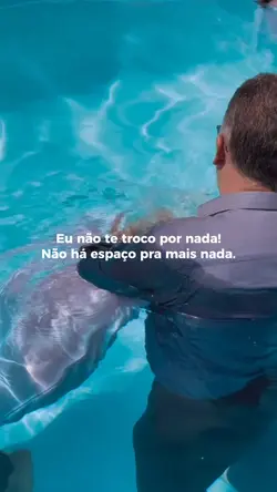 MINHA VIDA FOI 