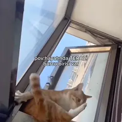 hayatında*burcu var