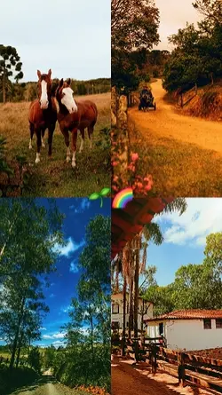 roça