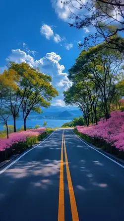 30 video or photo