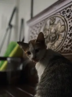 1 foto kece