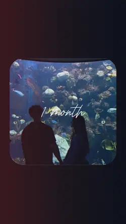 1m