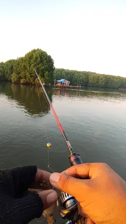 mancing